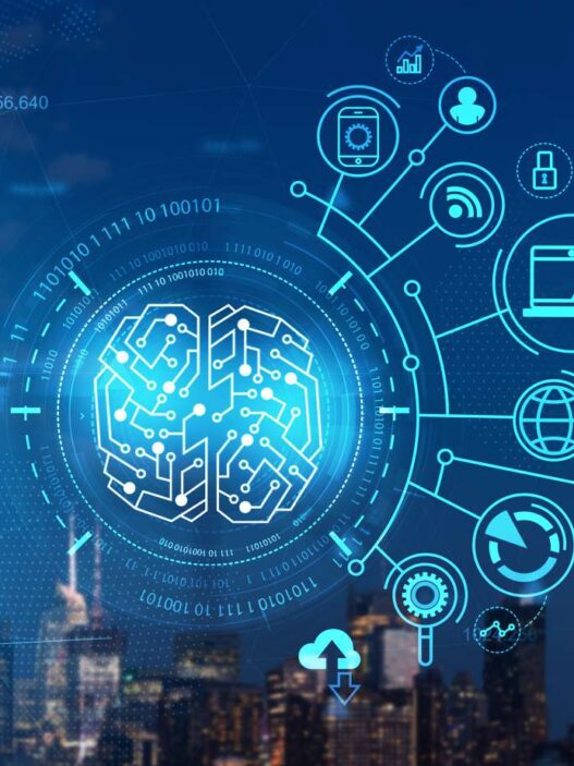 Digital Asset Management Solutions