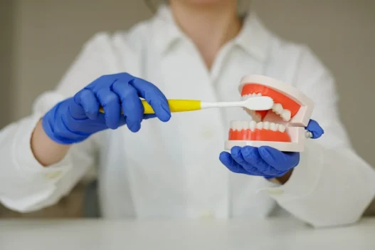 Seasonal Dental Tips For Families: Keep Smiles Bright All Year