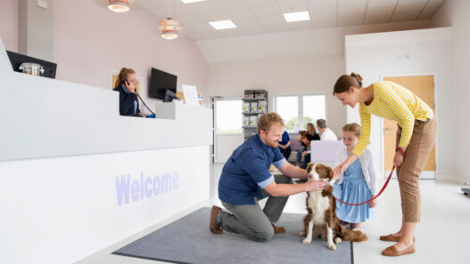 Long Term Relationship With Your Vet