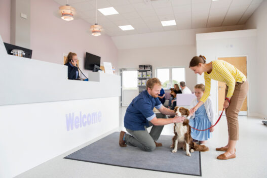 Long Term Relationship With Your Vet
