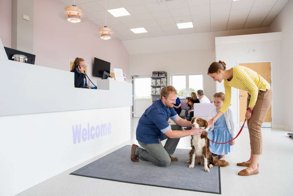 Long Term Relationship With Your Vet