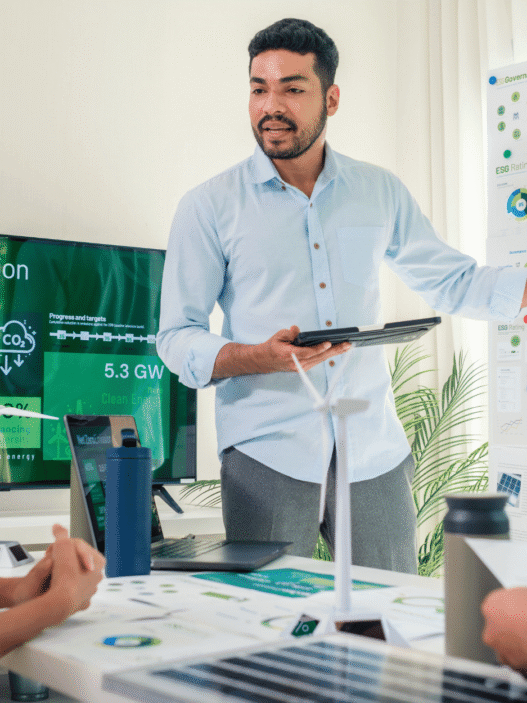 The Role Of Accounting Firms In Environmental And ESG Reporting