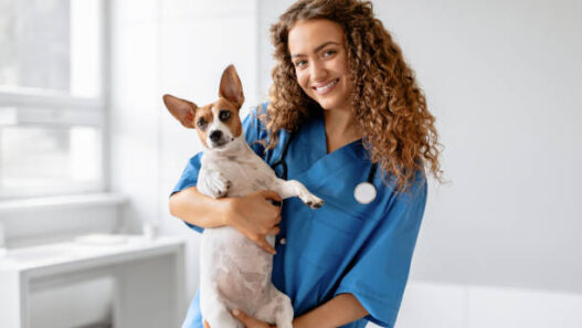Veterinary Clinics