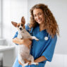 Veterinary Clinics
