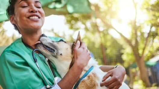 How Animal Clinics Contribute To Community Animal Welfare