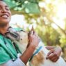 How Animal Clinics Contribute To Community Animal Welfare