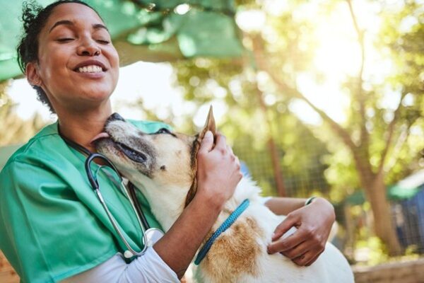 How Animal Clinics Contribute To Community Animal Welfare