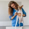 How Veterinary Clinics Contribute To Animal Welfare Beyond Treatment