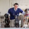 Animal Hospitals