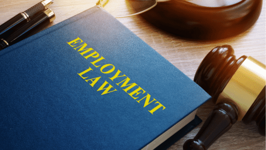 Employment Lawyer