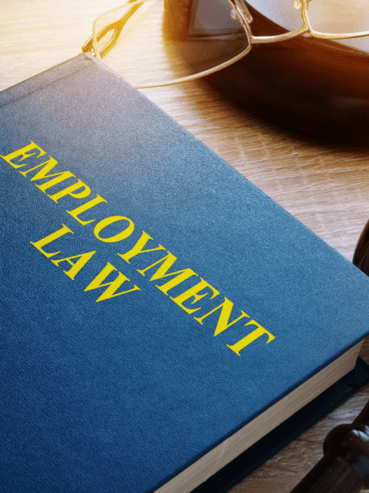 Employment Lawyer