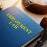 Employment Lawyer