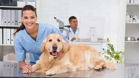 Veterinary Clinics