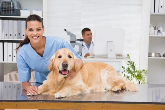 Veterinary Clinics