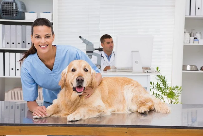 Veterinary Clinics