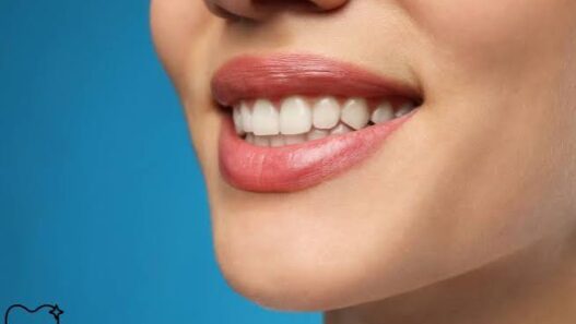 Family Dentistry Supports